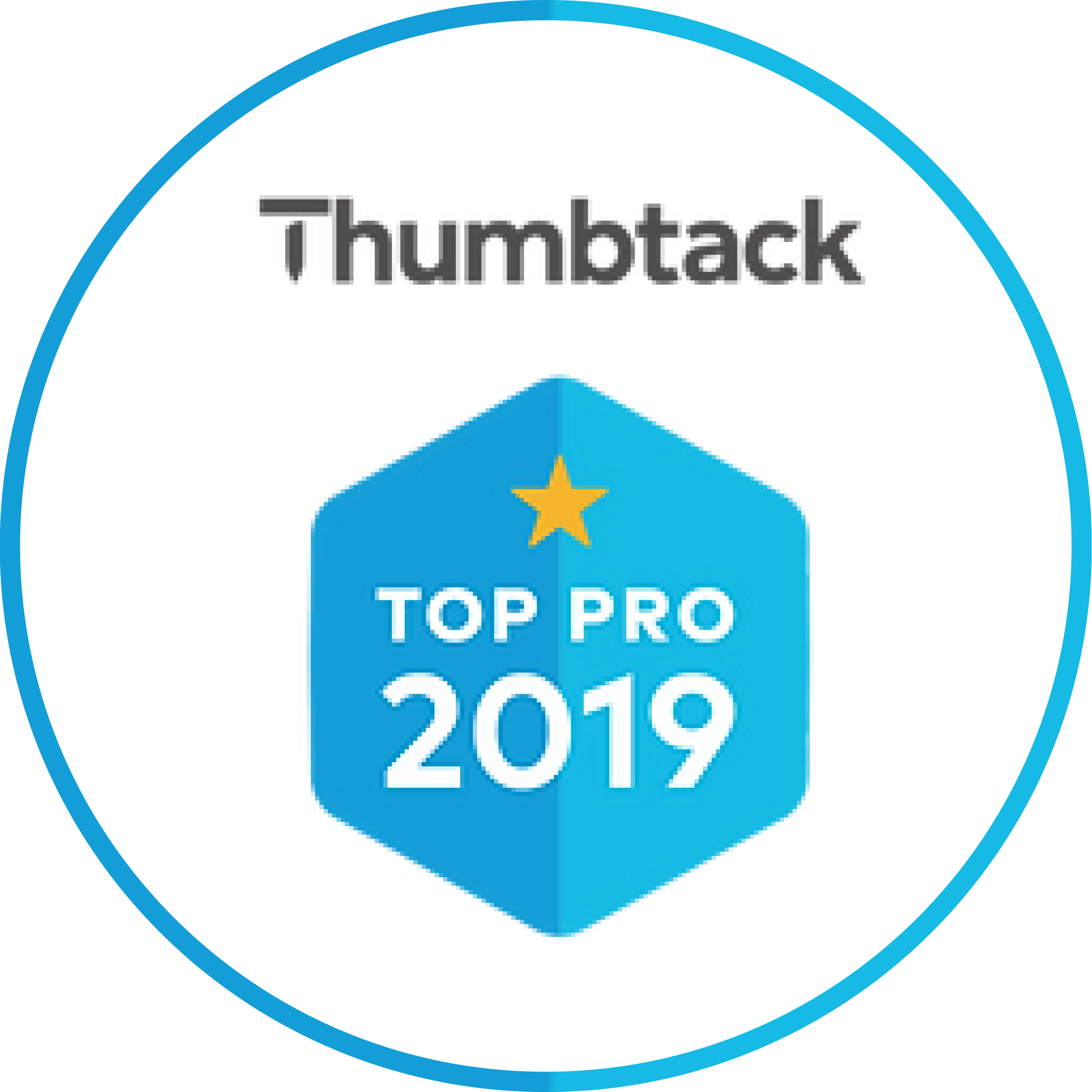 Thumbtack Pro 2019